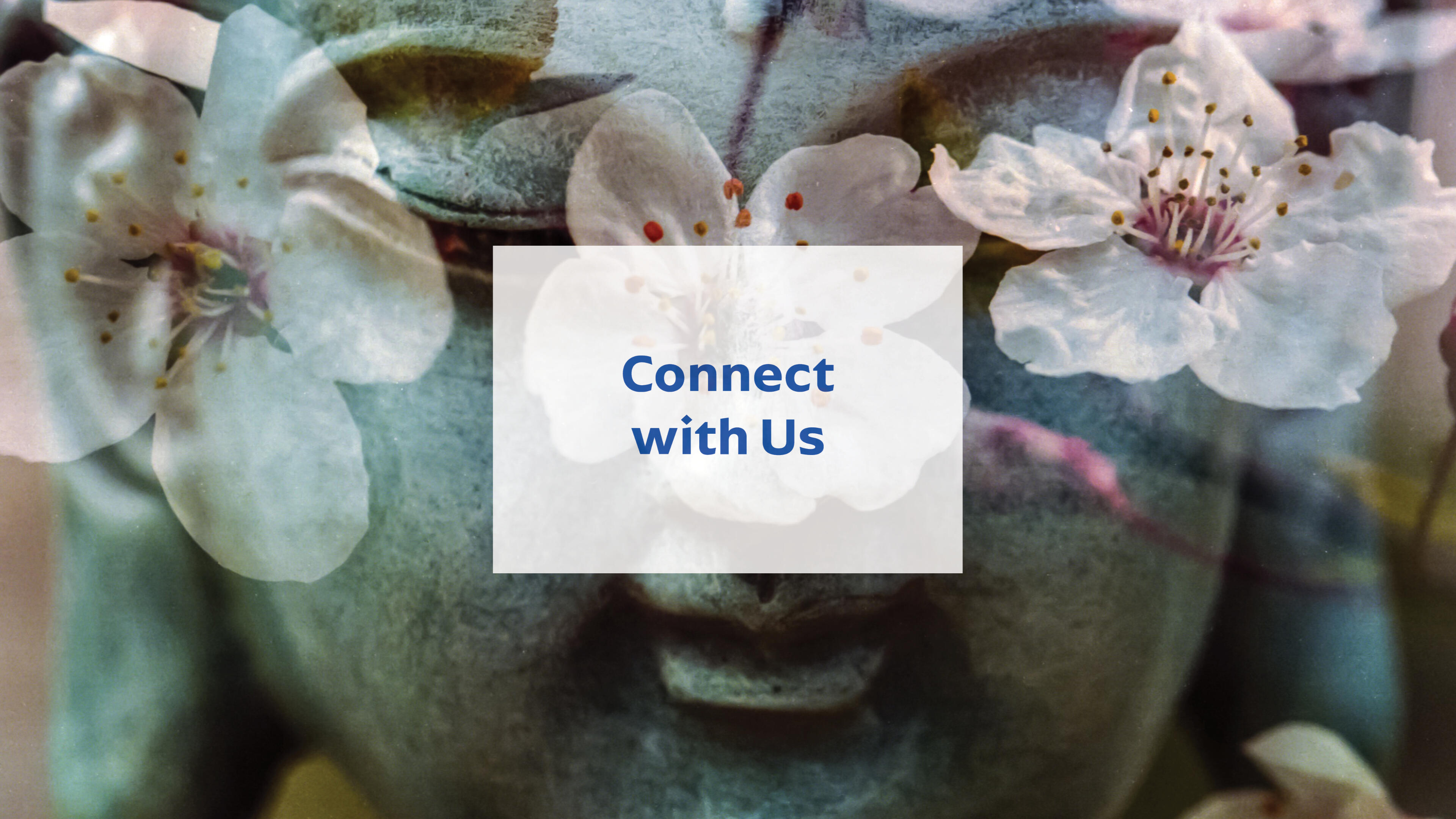 Connect with Us