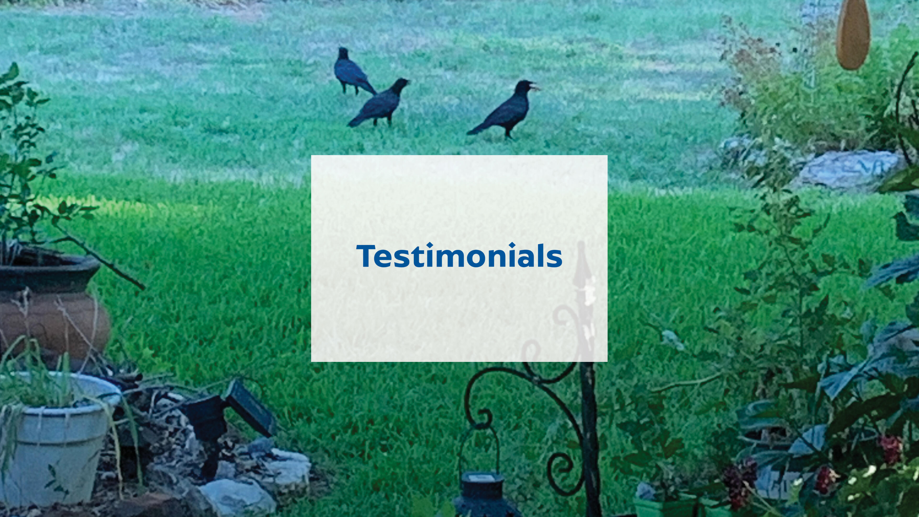 Testimonials